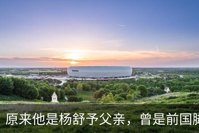 原来他是杨舒予父亲，曾是前国脚，为女儿们搬家广州，已去世1年